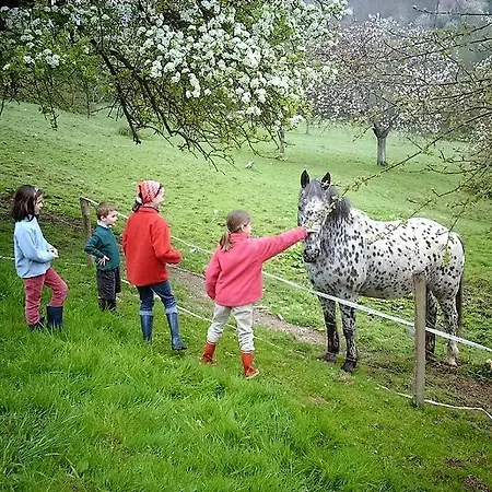 Legrandpressoir 옹플뢰르