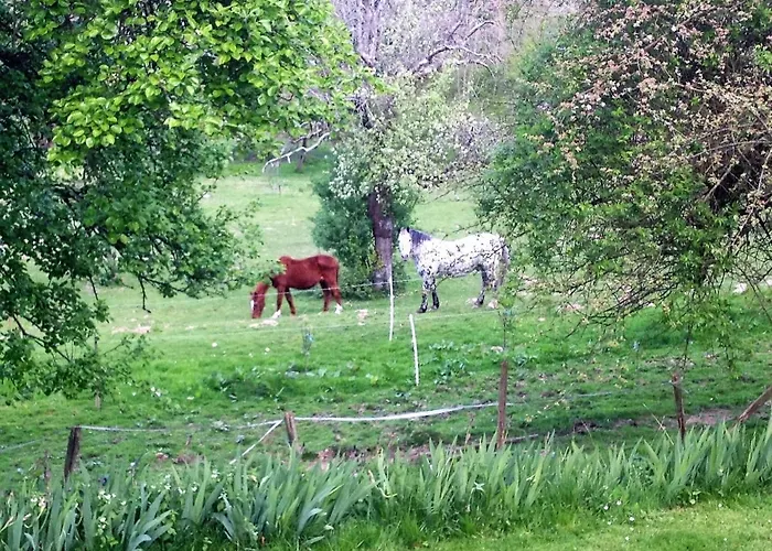 펜션 Legrandpressoir 옹플뢰르